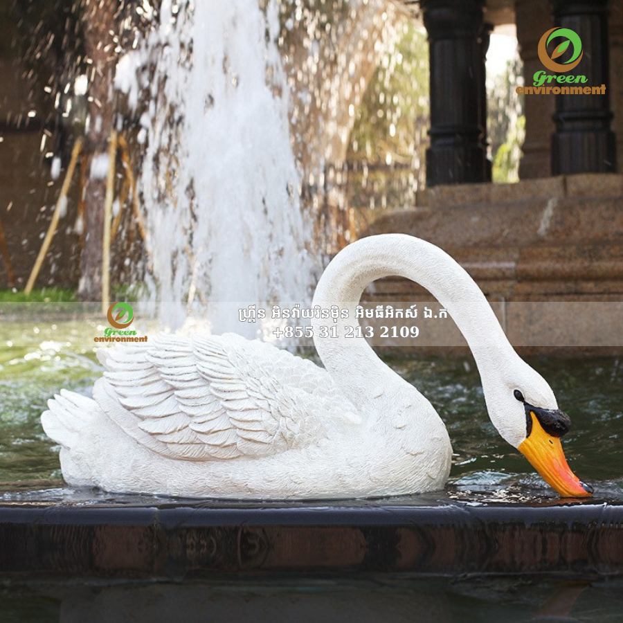 រូបសត្វអណ្ដើក