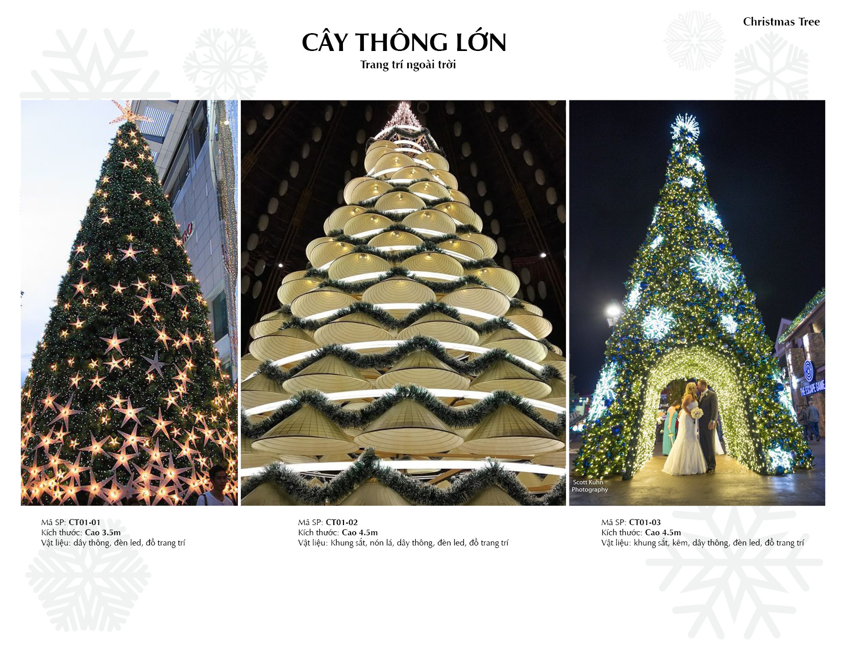 TONG HOP sp GS don le28